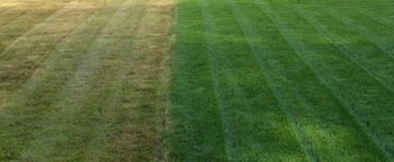 YARA Yara Mila Комплекс 11.12.18 Гидрокомплекс 25 кг