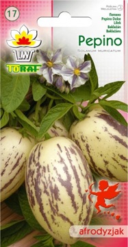 PEPINO melon cytryna ananas w jednym owocu 10szt.