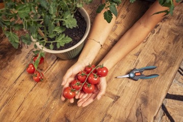 Ножницы для трав и овощей FreshCut Gardena 12212-20