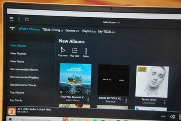 Линн Маджик DS/1 игрок