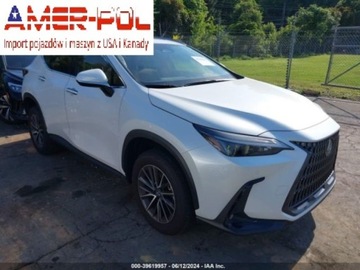 Lexus NX II 2024 Lexus NX 2024 Lexus NX NX 250 Premium FWD 2.5 Benzyna 203KM