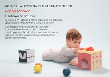 Шаровая башня Taf Toys SORTER Северный полюс