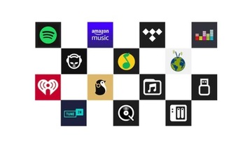 МУЛЬТИРУМНЫЙ СТРИМЕР СО СТЕРЕОУСИЛИТЕЛЕМ ARYLIC A50+