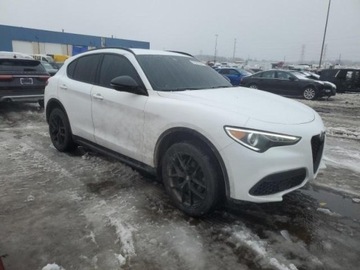Alfa Romeo Stelvio 2021 Alfa Romeo Stelvio Sport, 2021r., 2.0L 2.0 Benzyna 280KM, zdjęcie 1