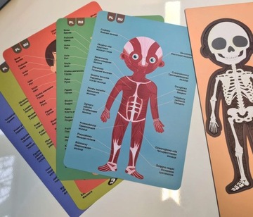 Магнитная головоломка Apli Kids для человеческого тела