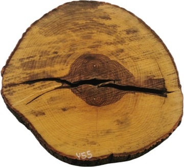 Plaster Jesionowy 47x47 cm Okrągłe Drewno Ozdobne