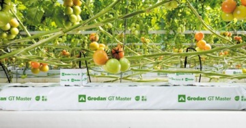 GRODAN МИНЕРАЛЬНАЯ ШЕРСТЬ В ПЛАСТИКОВОМ ТАКЕ, кубики 3,6x3,6xh4см - 77шт