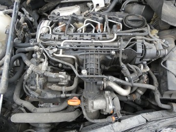 CAY CAYB KOMPLETNY SILNIK Z OSPRZĘTEM 1.6 TDI CR VW GOLF VI 2009-2012