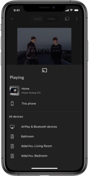 WIIM Pro Streamer Roon Ready Tidal Connect
