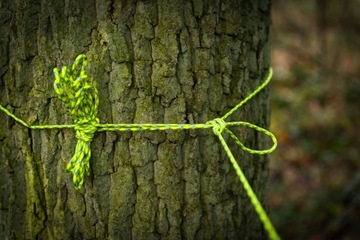Linka 550 Paracord Reflective (50ft) - Neon Orange