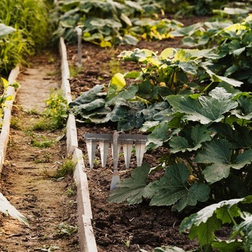 Инструмент для прополки почвы, садовые грабли, ручные инструменты для прополки.