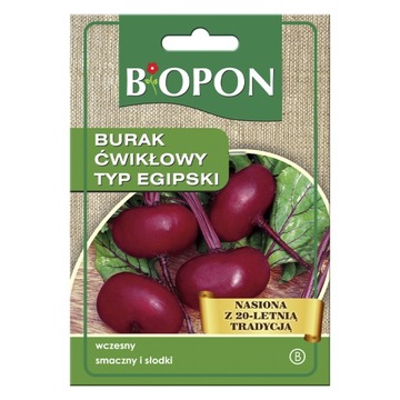 Burak ćwikłowy Typ Egipski - nasiona