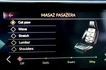  DS Automobiles DS 7 Crossback JASNA SKÓRA masaze, zdjęcie 25