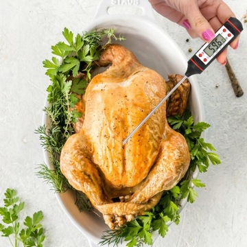 Электронный штыревой термометр КУЧЕННЫЙ с щупом для мяса для мясного ассорти на гриле