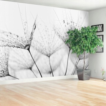 TAPETA OKLEINA Dmuchawiec Krople 208x146