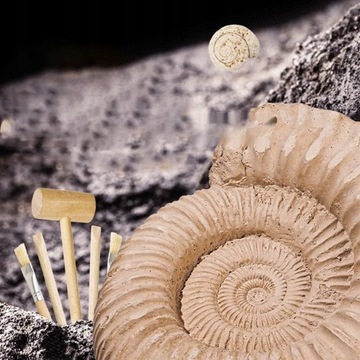 KOPALNIA WYKOPALISKA SKAMIELINY ARCHEOLOG ZESTAW