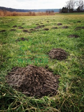 QUICKPHOS PELLETS СРЕДСТВО ОТ КРОТОВ 1 кг