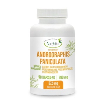 Andrographis Paniculata Ekstrakt Odporność Wątroba 90 Kaps 390mg NatVita
