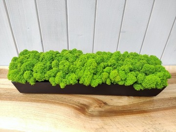 Деревянный цветочный горшок с мхом CHERRY MOSS в длинном горшке 40 см декор