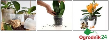Субстрат для орхидей 5л Orchiata 6-9мм