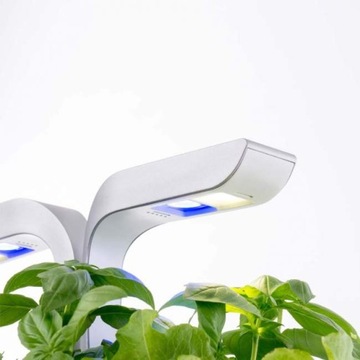 Настоящая Классика