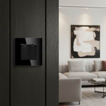 ВЫКЛЮЧАТЕЛЬ СВЕТА СТЕКЛО ДВОЙНОЙ ВЫКЛЮЧАТЕЛЬ ЧЕРНЫЙ