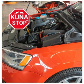 ДЛЯ КУНИЦ ЭФФЕКТИВНЫЙ ПОДВЕСНОЙ ОТПУГИВАТЕЛЬ КУНИЦ ПРОВЕРЕННОЕ СРЕДСТВО ДЛЯ АВТОМОБИЛЯ