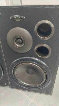 ДИНАМИКИ STX A 80, 2 ШТ.