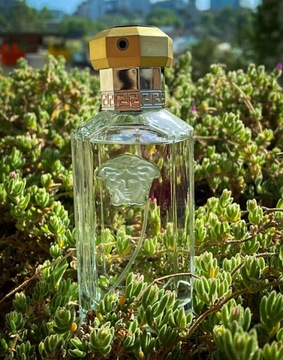 БУТЫЛКА VERSACE THE DREAMER EDT 100 МЛ