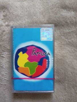 Kaseta Pangea *FOLIA*