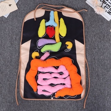 Оборудование для дошкольного образования для детей