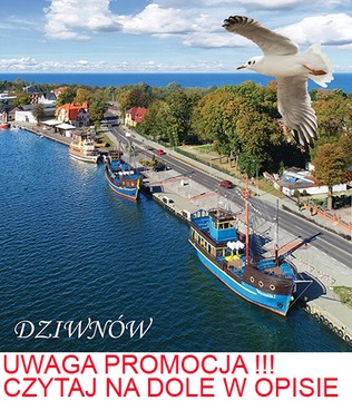MAGNES NA LODÓWKĘ 3D DZIWNÓW