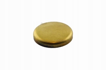 ZAŚLEPKA KOREK BLOKU 45MM 45 MM