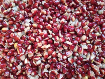 Kukurydza Wędkarska Truskawka Czerwona Ziarno 1kg