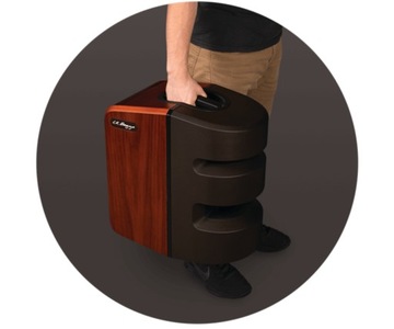 Л.Р. Бэггс Синапс, Пенсильвания