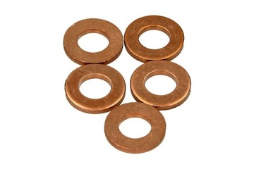 D 9001-850 ШАЙБА ИНЖЕКТОРА CITROEN C3 2.0 01- 5ШТ. ДЕЛЬФИ