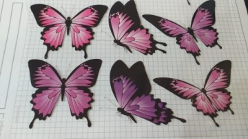 ТЕРМОНАКЛЕЙКА ДЛЯ НАНЕСЕНИЯ УТЮГОМ большие бабочки, лист МТ-1