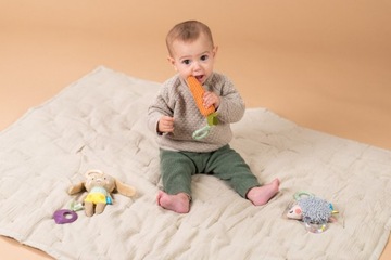 TAF TOYS Набор активирующих игрушек URBAN GARDEN COLLECTION