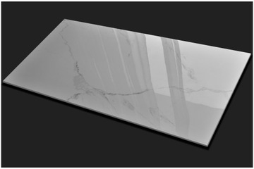 PŁYTKI PODŁOGOWE GRES BIAŁY MARMUR 120x60 CERAL