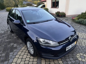 Volkswagen Golf VII Hatchback 3d 1.2 TSI 85KM 2014 Volkswagen Golf VII 1.2 TSI 86KM Highline BiXenon LED PDC 1wł. SerwisASO, zdjęcie 3