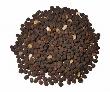 Kąkol polny - nasiona - 10g