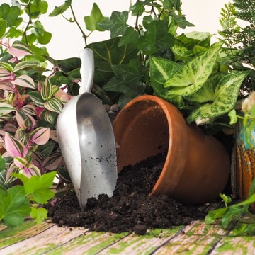 Почвенный субстрат для ЗЕЛЕНЫХ растений, смесь MIX