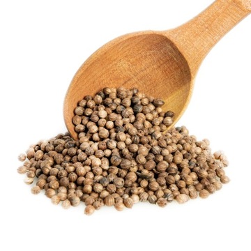 KOLENDRA NATURALNE ZIARNA JAKOŚĆ ZOBACZ 100g