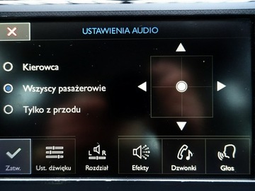 Citroen C4 Picasso II 2013 Citroen C4 Picasso NAVI LED Gwarancja Bezwypadkowy, zdjęcie 38