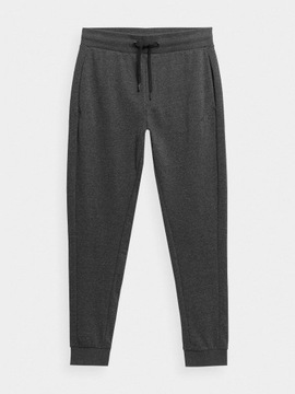 МУЖСКИЕ ДЖОГГЕРЫ 4FSS23TTROM223 *3XL