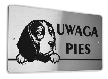 Tabliczka INOX - UWAGA PIES - Beagle