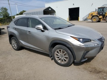 Lexus NX II 2021 Lexus NX 300 Base 2021 2.0l 2.0 Benzyna 235KM, zdjęcie 4