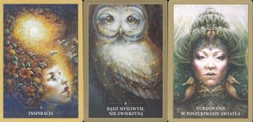 Освященные повстанцы Synergie Польша