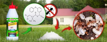 ANTS REPEAT, ЛУЧШЕЕ СРЕДСТВО ДЛЯ УДАЛЕНИЯ МУРАВЬЕВ ДЛЯ ДОМА СИЛЬНЫЙ ПОРОШОК 300 Г