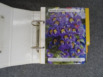 Набор из 6 каталогов ДОМ, ПОЛНЫЙ ЦВЕТОВ Азбука горшечных растений